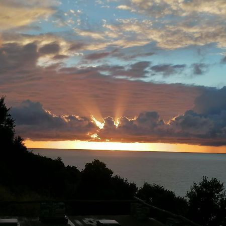 Coin De Paradis Vue Dominante Sur Mer, Montagne Et Tour Genoise Avec Jacuzzi Pino 외부 사진