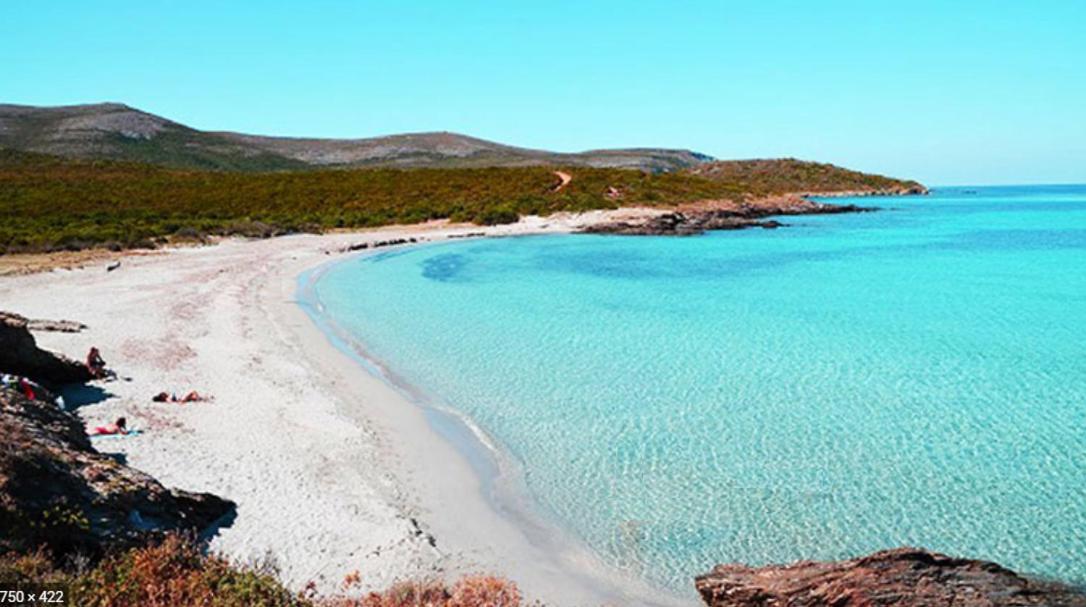 Coin De Paradis Vue Dominante Sur Mer, Montagne Et Tour Genoise Avec Jacuzzi Pino 외부 사진