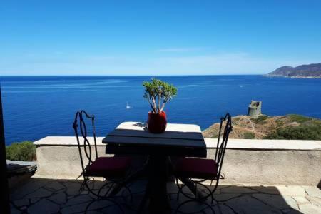 Coin De Paradis Vue Dominante Sur Mer, Montagne Et Tour Genoise Avec Jacuzzi Pino 외부 사진