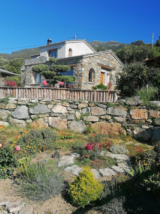 Coin De Paradis Vue Dominante Sur Mer, Montagne Et Tour Genoise Avec Jacuzzi Pino 외부 사진