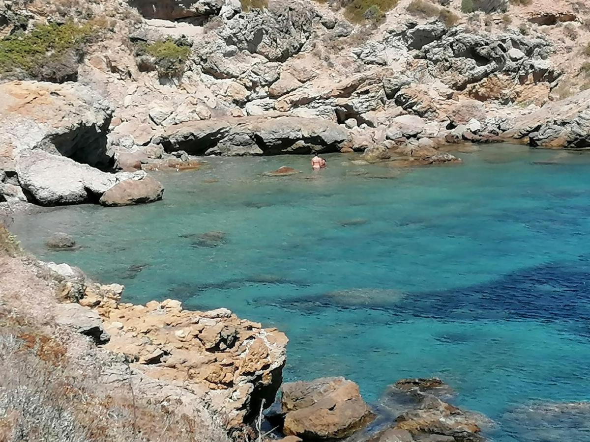 Coin De Paradis Vue Dominante Sur Mer, Montagne Et Tour Genoise Avec Jacuzzi Pino 외부 사진