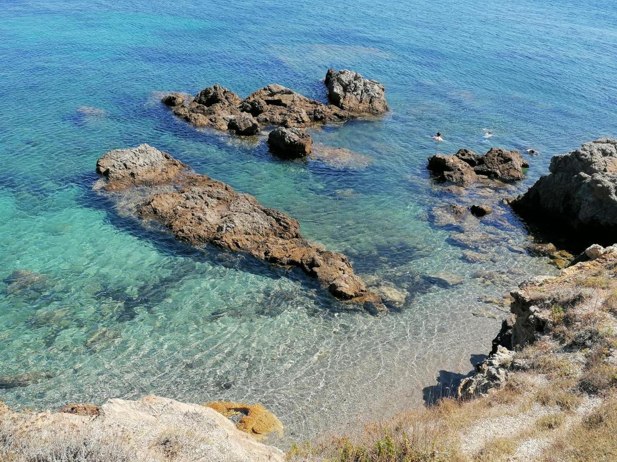 Coin De Paradis Vue Dominante Sur Mer, Montagne Et Tour Genoise Avec Jacuzzi Pino 외부 사진