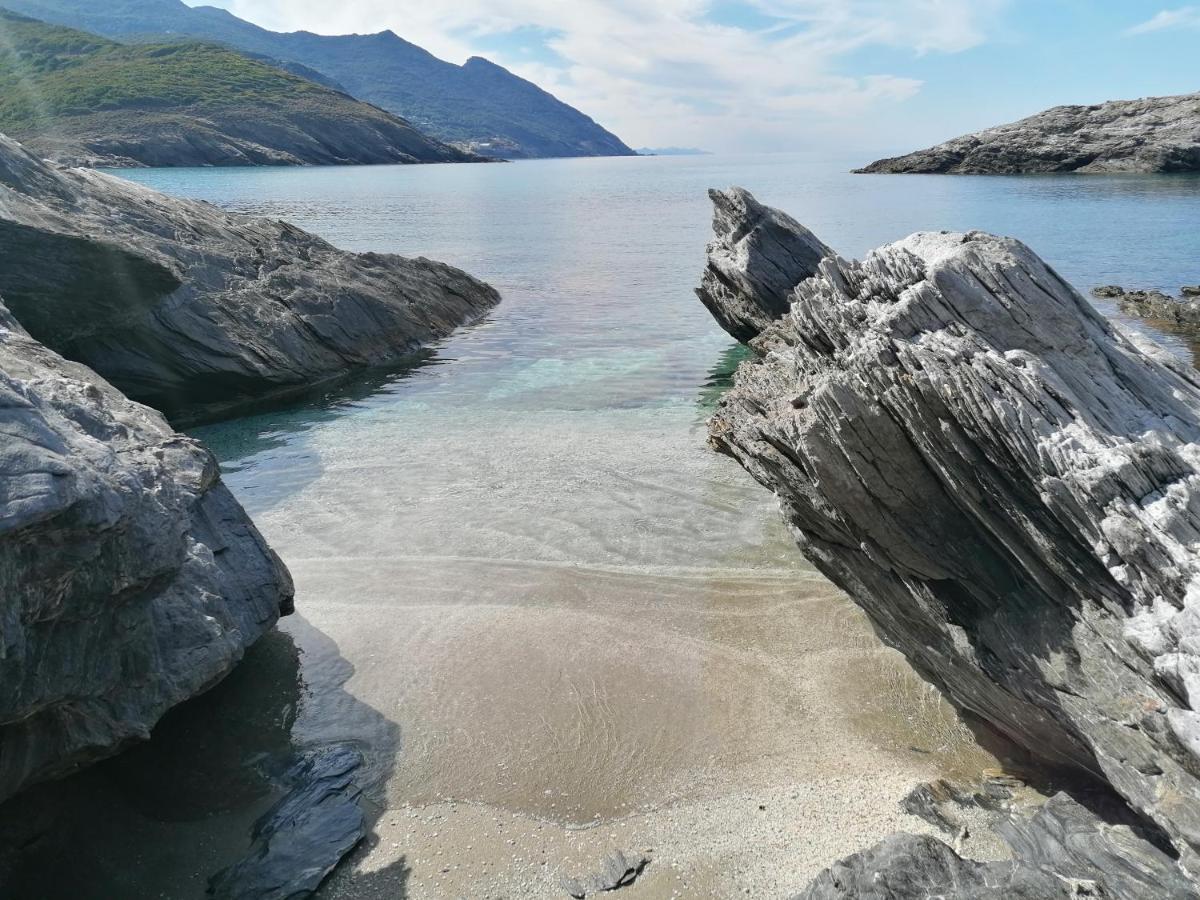 Coin De Paradis Vue Dominante Sur Mer, Montagne Et Tour Genoise Avec Jacuzzi Pino 외부 사진