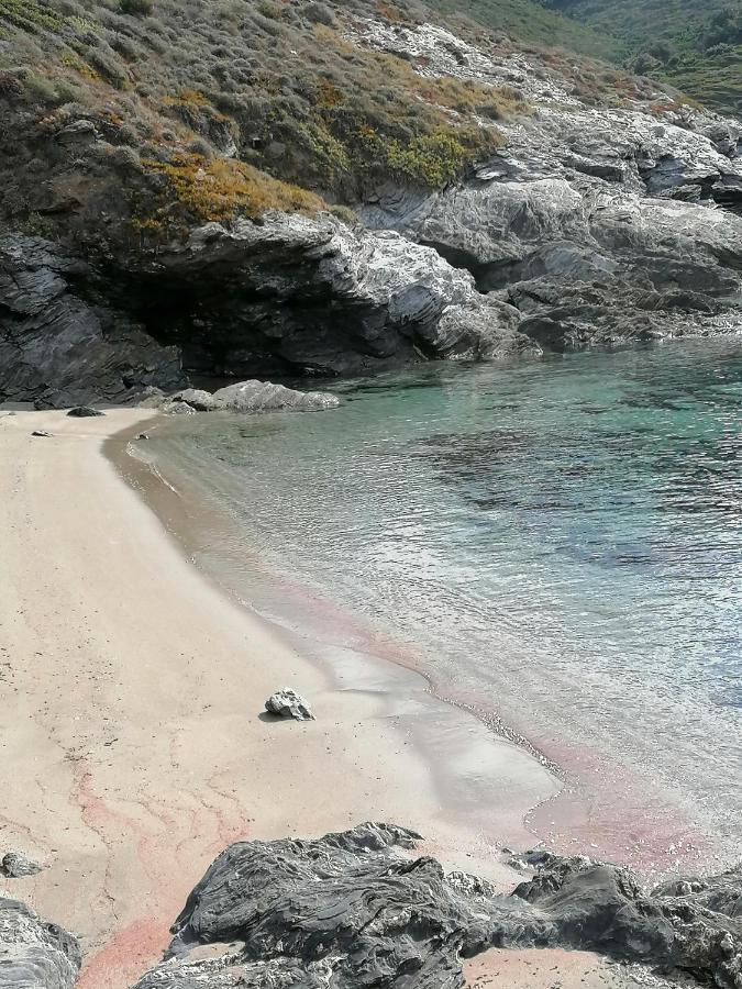 Coin De Paradis Vue Dominante Sur Mer, Montagne Et Tour Genoise Avec Jacuzzi Pino 외부 사진