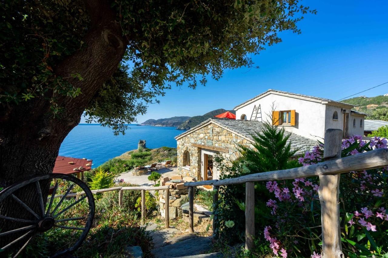Coin De Paradis Vue Dominante Sur Mer, Montagne Et Tour Genoise Avec Jacuzzi Pino 외부 사진