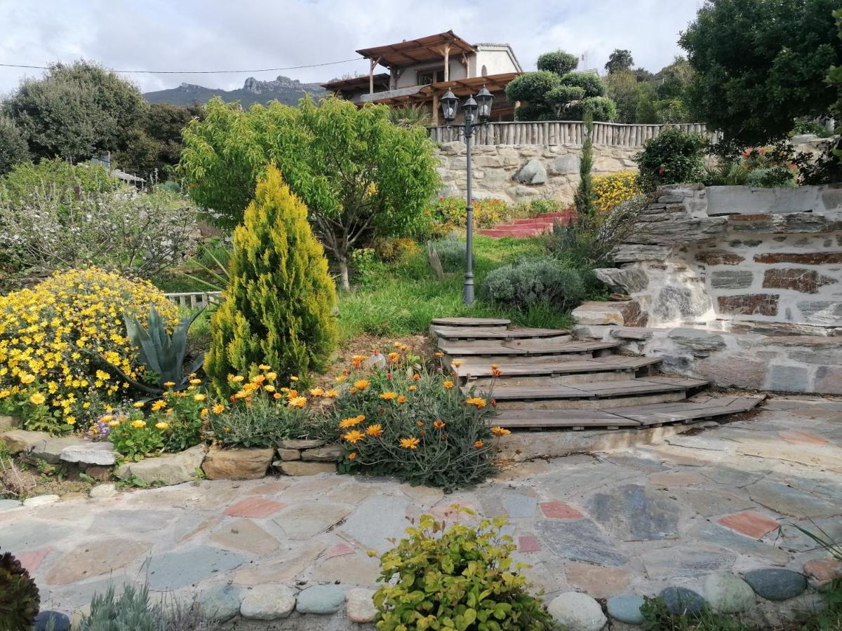Coin De Paradis Vue Dominante Sur Mer, Montagne Et Tour Genoise Avec Jacuzzi Pino 외부 사진